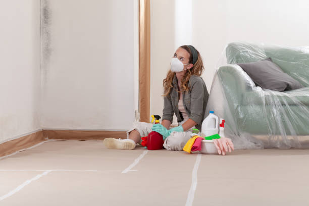 Reliable Basement Mold Removal contractor in Stafford, OR by WQB Mold Removal